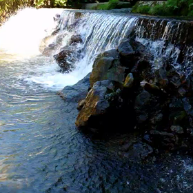 残暑納涼お見舞いの画像