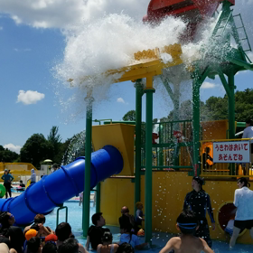 一万人プールデビューの画像