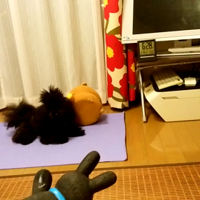 ダウンー♪の画像