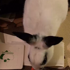 送られてきた動画と、私の今日のこと＼＼\\٩( 'ω' )و //／／仕事とか？の画像