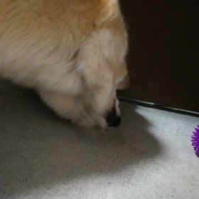 一心不乱の画像