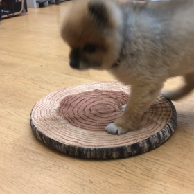 簡単だったわね。の画像