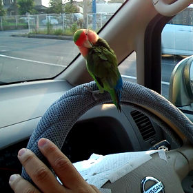 場所が違うような…の画像