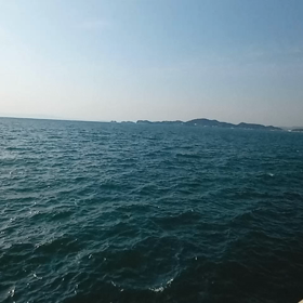 春の海☀️の画像