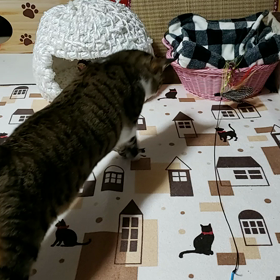 からのォの画像