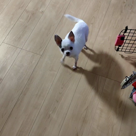 激務続く。。。私の勝手な勤務表のとり方ですが。の画像