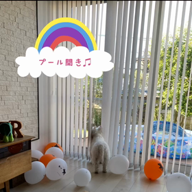 プール開き2020の画像