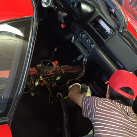 ケルってる動画の画像