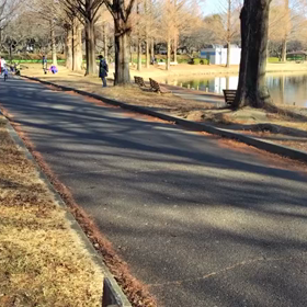 1/6 1000m②の画像