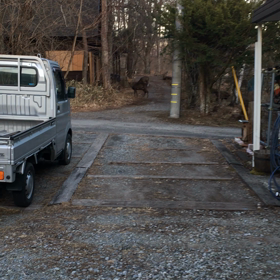 シカさんの画像