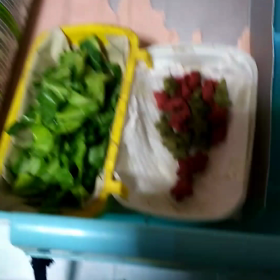 今日は東名高速道路開通記念日、ハムちゃんビデオ撮りましたの画像