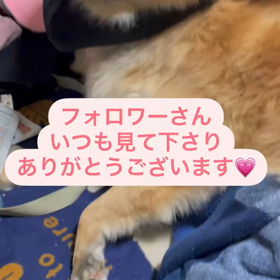 フォロワーさんありがとー❤️の画像