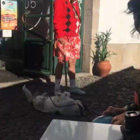 ピッポカッシュとおじいちゃんの画像