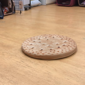 チョビ編。の画像