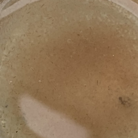 雨、あめ、そして、あめの画像