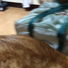 Oh! My God...の画像