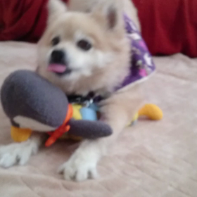 退院から一夜明けての画像