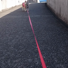 ヤッパリ調子悪いのかな…の画像