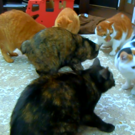 そして誰もいなくなったの画像