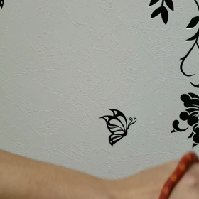 ♪((( ；ﾟДﾟ)))♪の画像