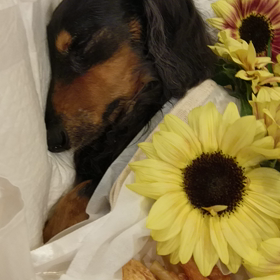 青空の中の画像