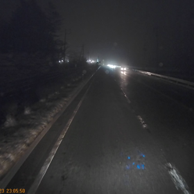 鹿さんゴメンの画像