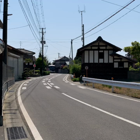 運良く道路上で撮影出来ましたの画像