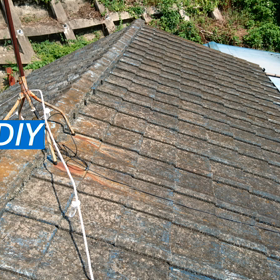 屋根の上のタオの画像