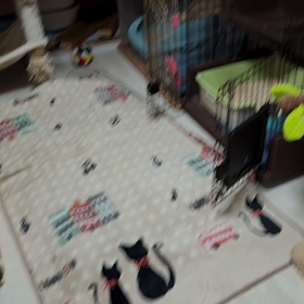 おはようございますの画像