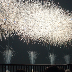 江戸川花火大会の画像