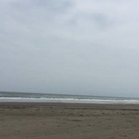 カイトサーフィンの画像