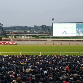 有馬記念の画像