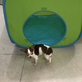 ♪プレイルーム動画♪の画像