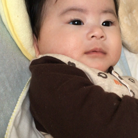 おしゃべりさきちゃんの画像