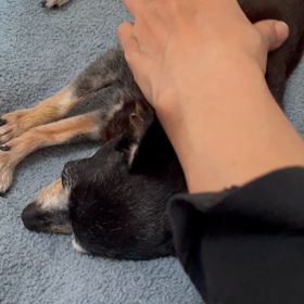 1回目完了の画像