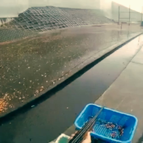 クレー射撃の画像