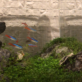 油膜対策の画像