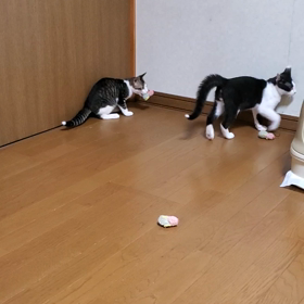 元気よ❤️の画像