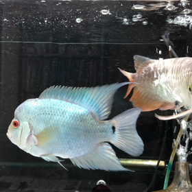 電気代が！の画像