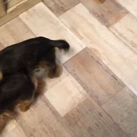 どっちが？の画像