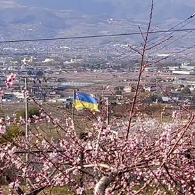 私は戦争反対の画像