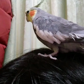 私は負け組？！の画像