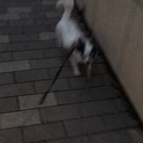 夕暮れの海辺への画像