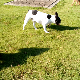 カインズホーム仙台港の動画の画像