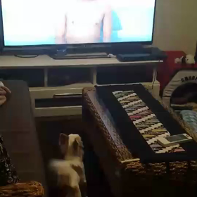 47年ぶりの再会。の画像