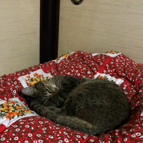 あん二首の画像