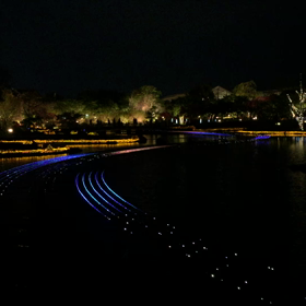 #なばなの里写真集❸＆動画の画像