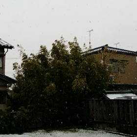 朝練3/9雪　したんけ？の画像
