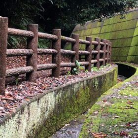 連休台無し？の画像