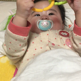 引っ張りっこの画像